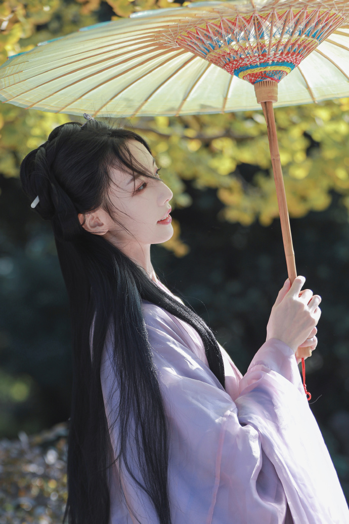 雍正王朝 封面